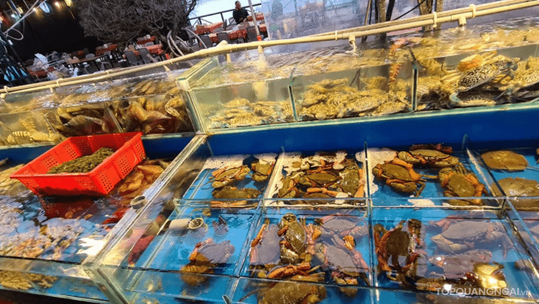 Top 5 quán hải sản ngon ở Quảng Ngãi nổi tiếng và hút khách nhất