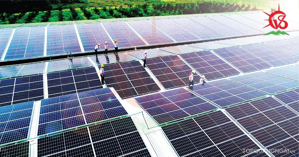 Top 8 địa chỉ lắp điện mặt trời tại Quảng Ngãi uy tín và hiệu quả nhất