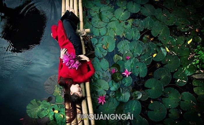 Đầm hoa súng dưới chân đèo Eo Gió - Quảng Ngãi