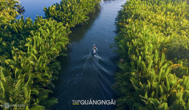 Rừng dừa nước Tịnh Khê – Quảng Ngãi: Điểm du lịch lý tưởng HOT nhất hiện nay
