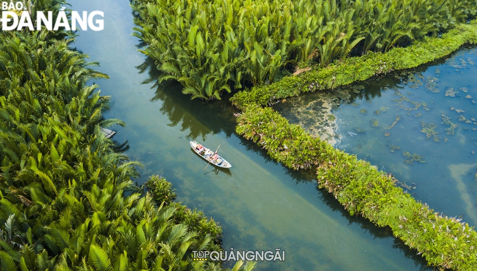 Rừng dừa nước Tịnh Khê Quảng Ngãi: Hoang sơ và thơ mộng