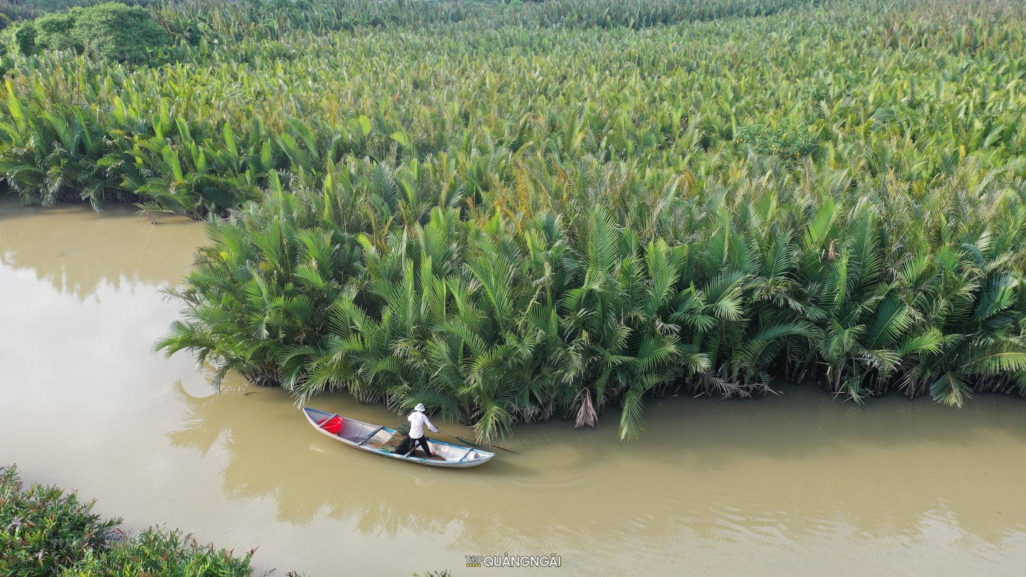 Cảnh rừng dừa nước Quảng Ngãi lọt vào top ảnh đẹp nhất thế giới