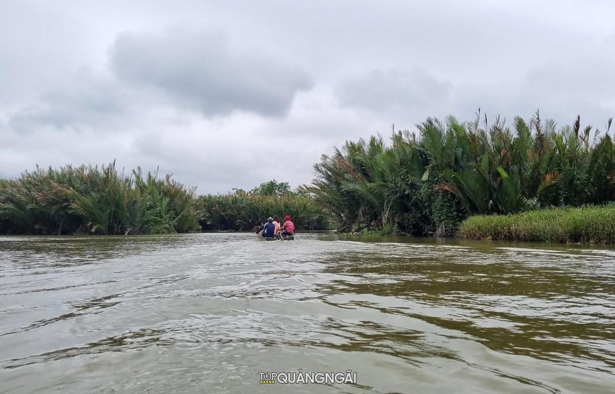 Cảnh rừng dừa nước Quảng Ngãi lọt vào top ảnh đẹp nhất thế giới